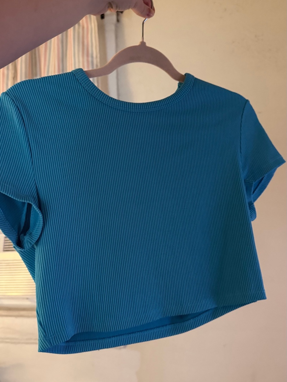 Divided Ribbed Crop Top in Teal